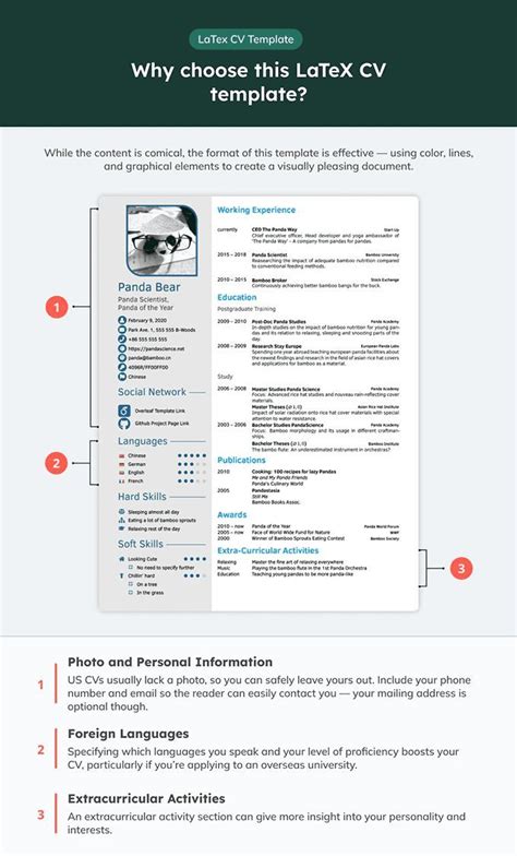 latex template cv|More.